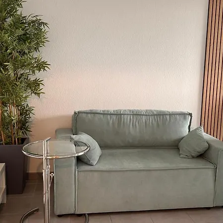 T2 Proche D'airbus Et Centre De Toulouse * קולומייר