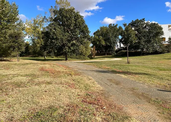 T2 Proche D'airbus Et Centre De Toulouse * קולומייר