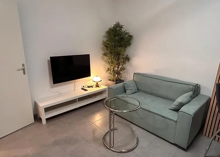 T2 Proche D'airbus Et Centre De Toulouse コロミエ